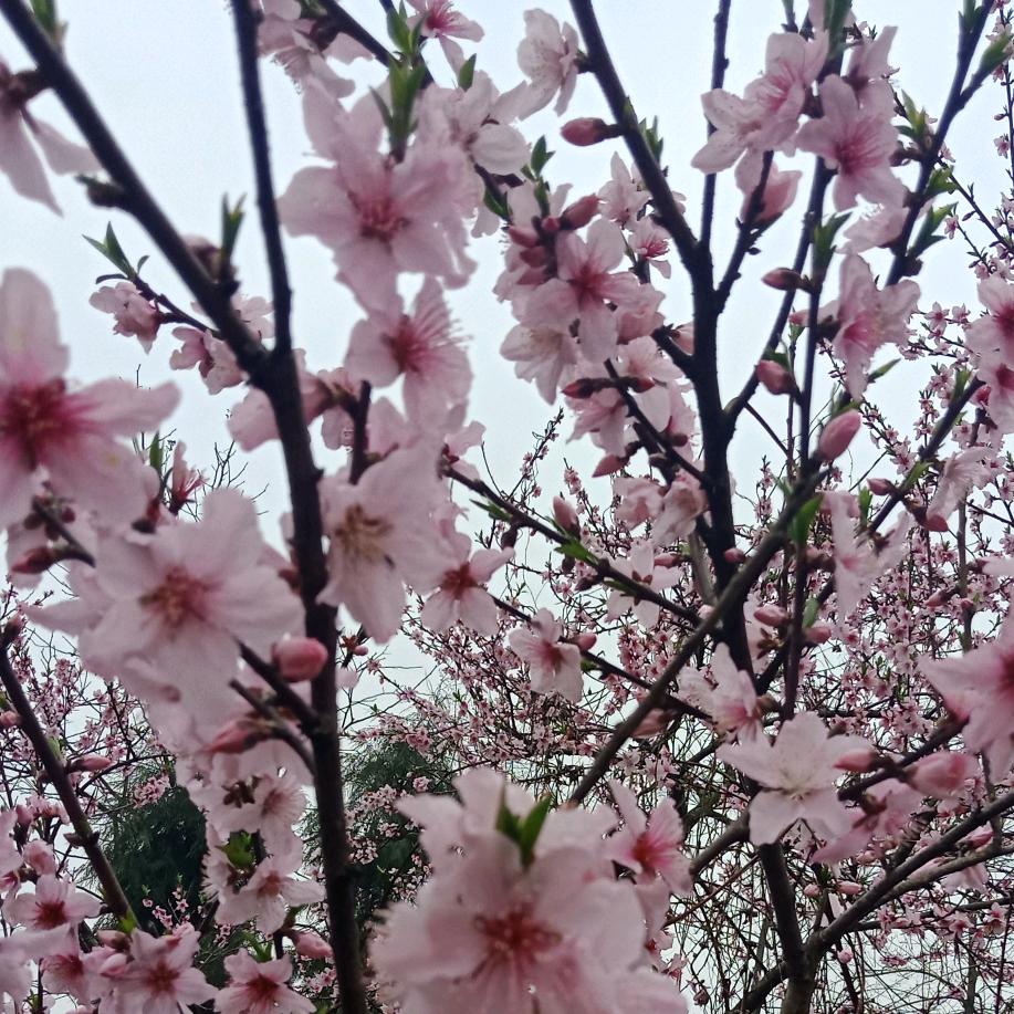 好心情