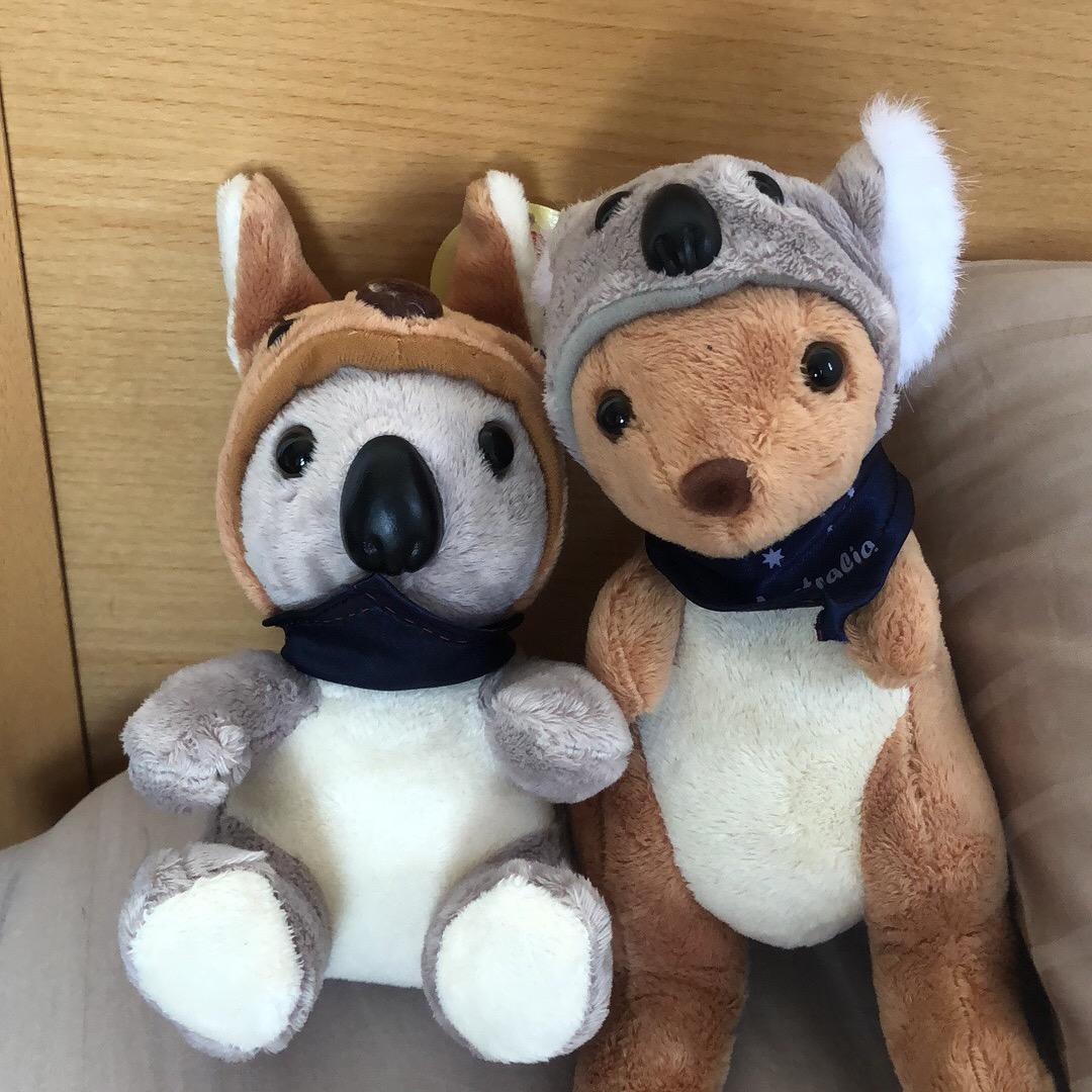 一个平平无奇的通勤博主小张🥳