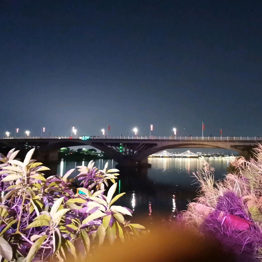 翱翔蓝天