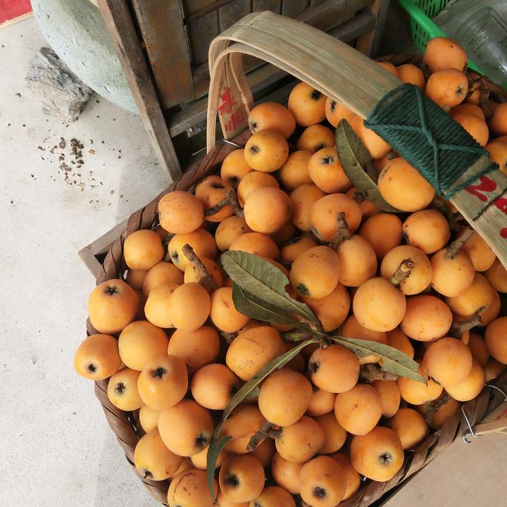 水中仙