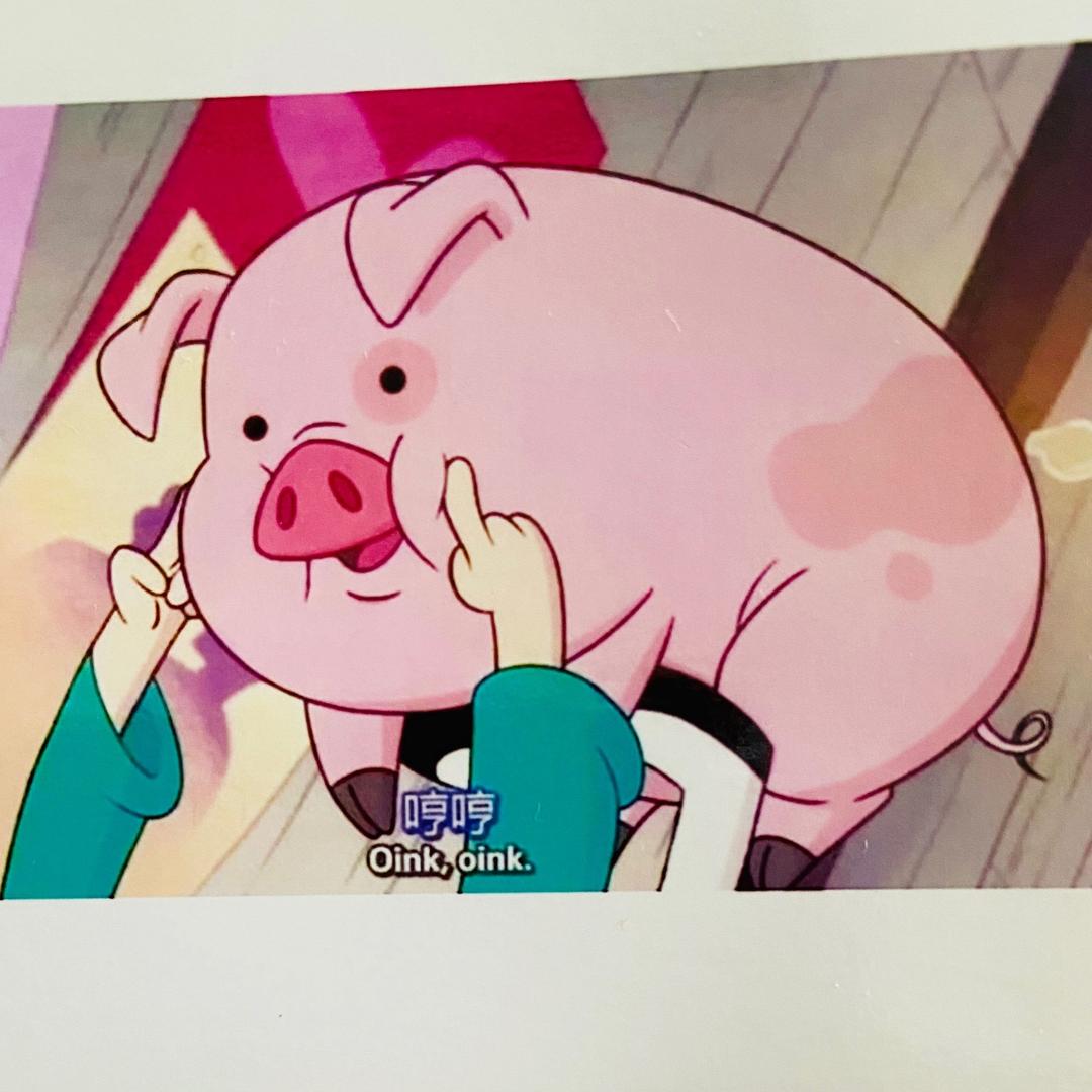 一只静猪🐷@抖音