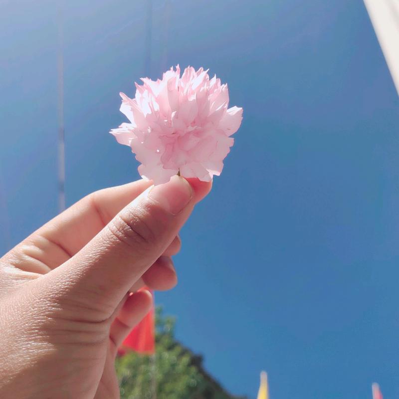 其乐融融[玫瑰]