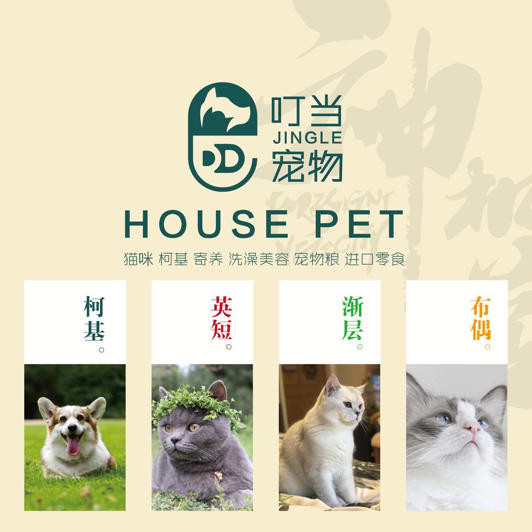 喵了个喵宠物测评