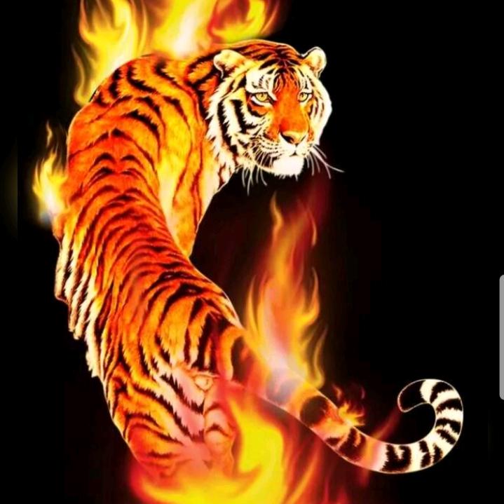 西北狼不忘初心