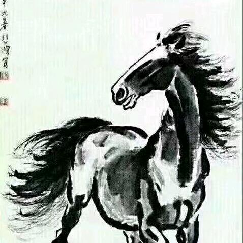 浪子宅福信息咨询