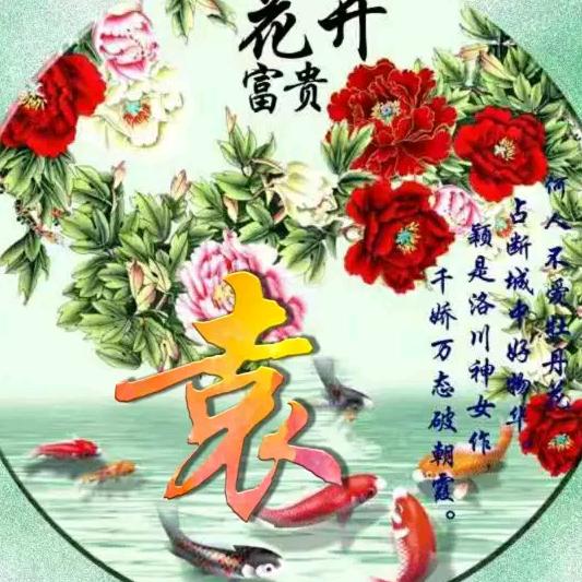 豫宛发哥