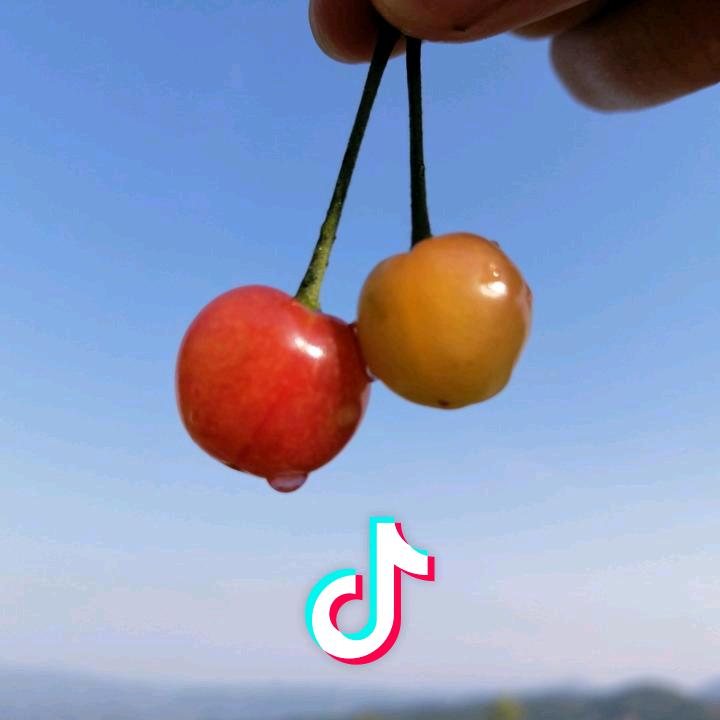 忆弈
