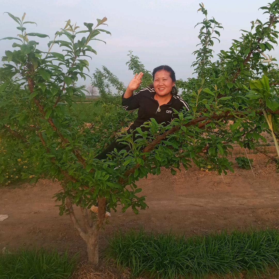 曾经心痛