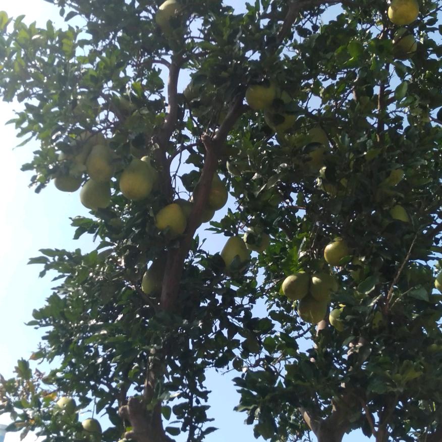 用户9528789122486涛哥