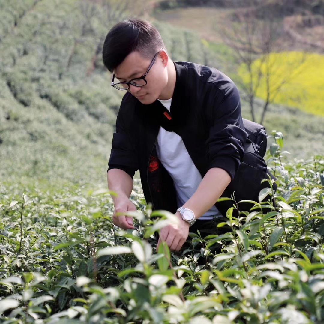 杨先生的茶铺