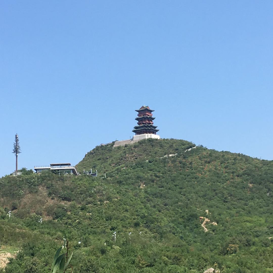 道痴