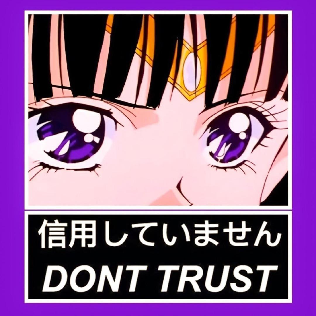 柏茶