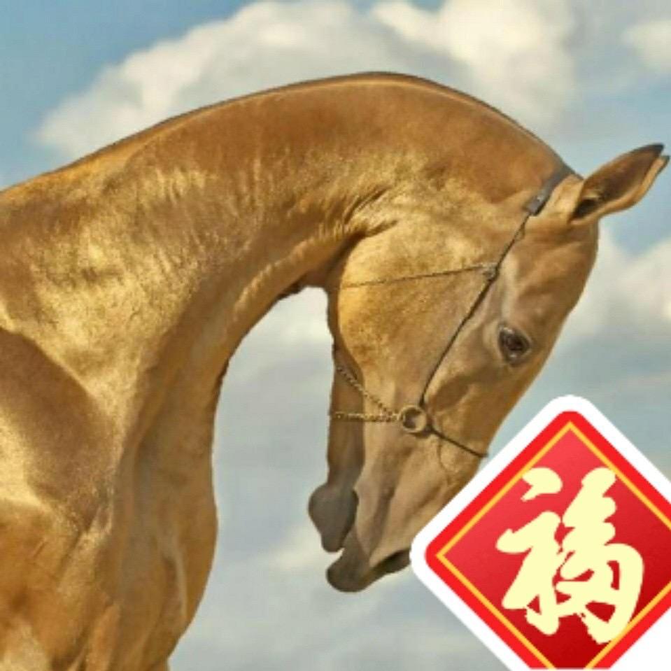 京南马场（开心马业）