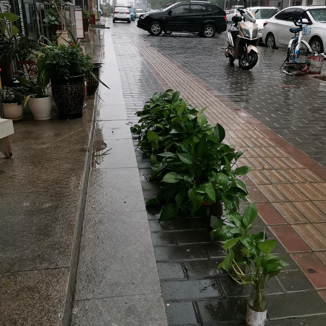 $&向往神鹰