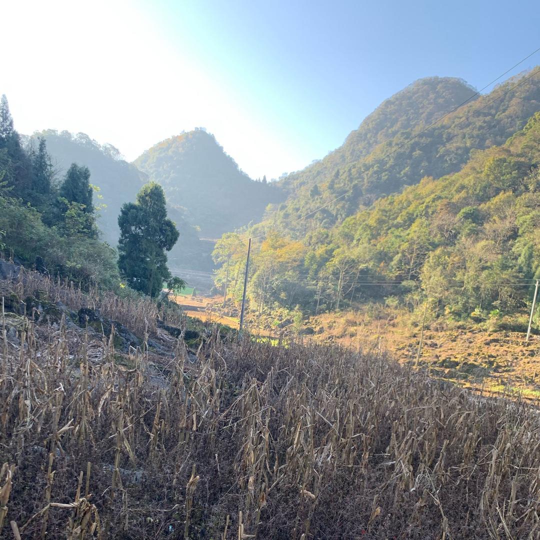 隆林福英生鲜超市