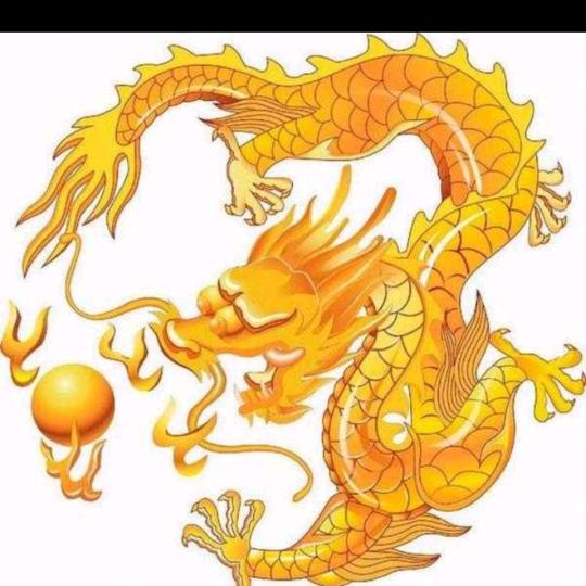 羽绒天下