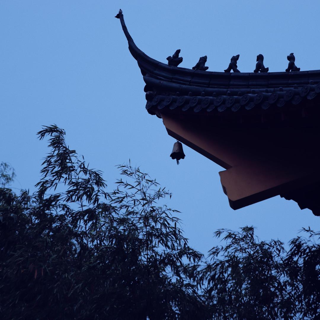 余竹