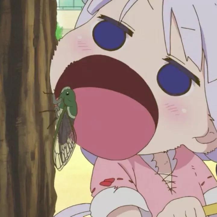 宇小周
