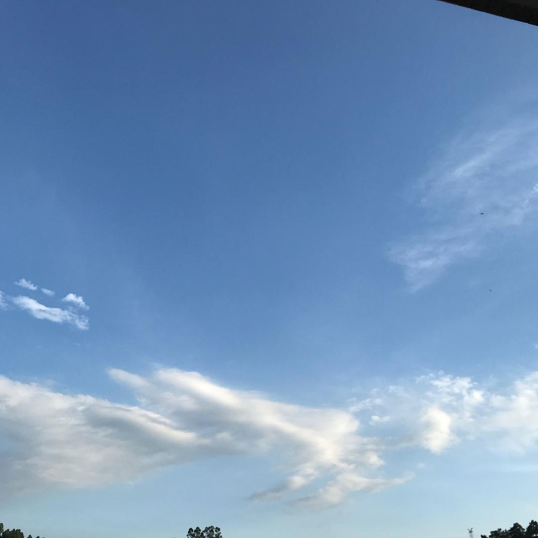 驰骋