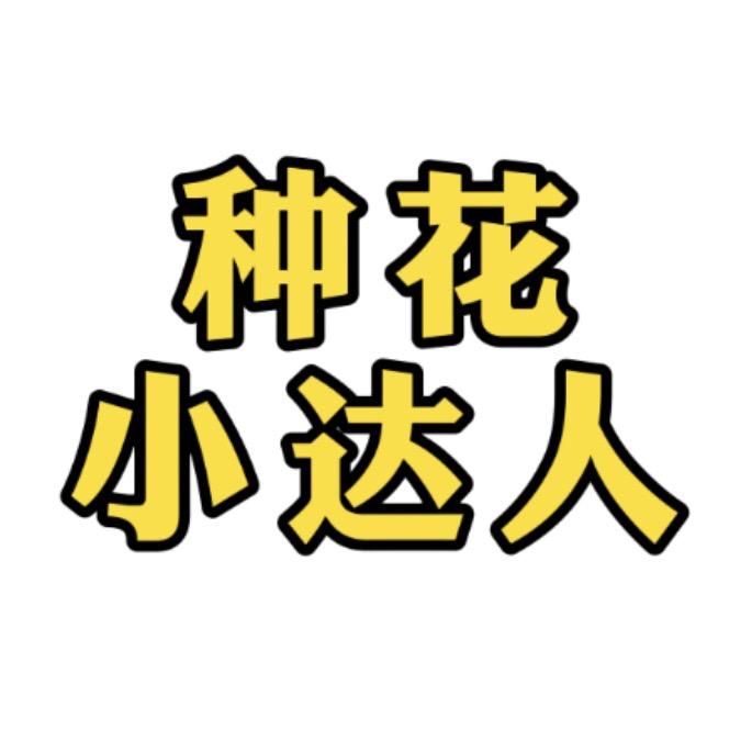 欣语花卉