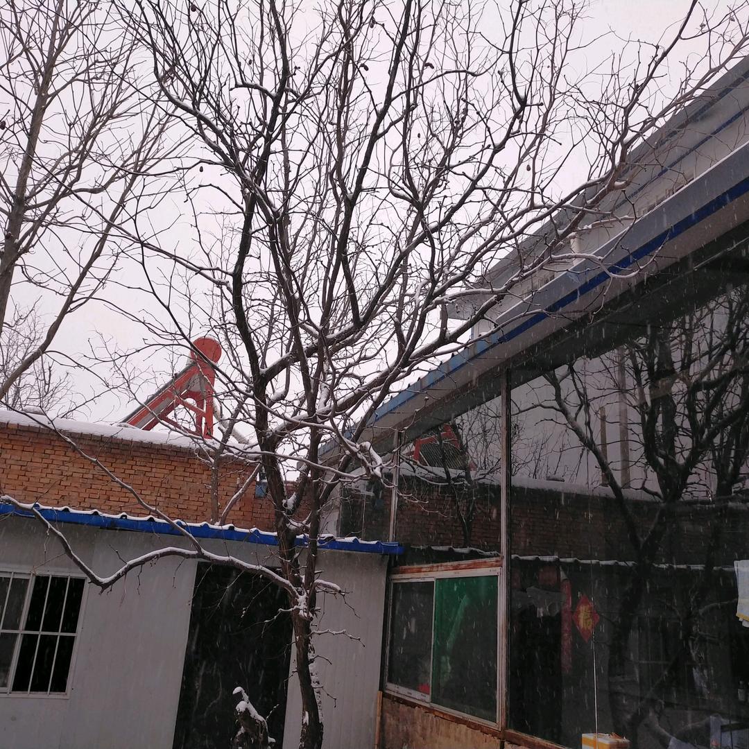 专业树脂瓦彩钢房设计安装