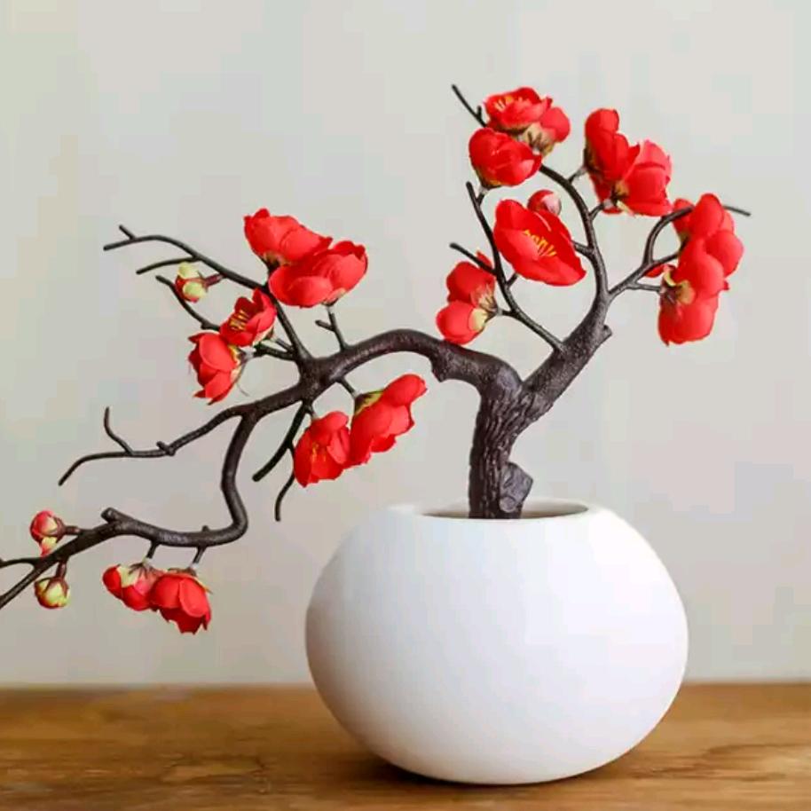 小胖哥