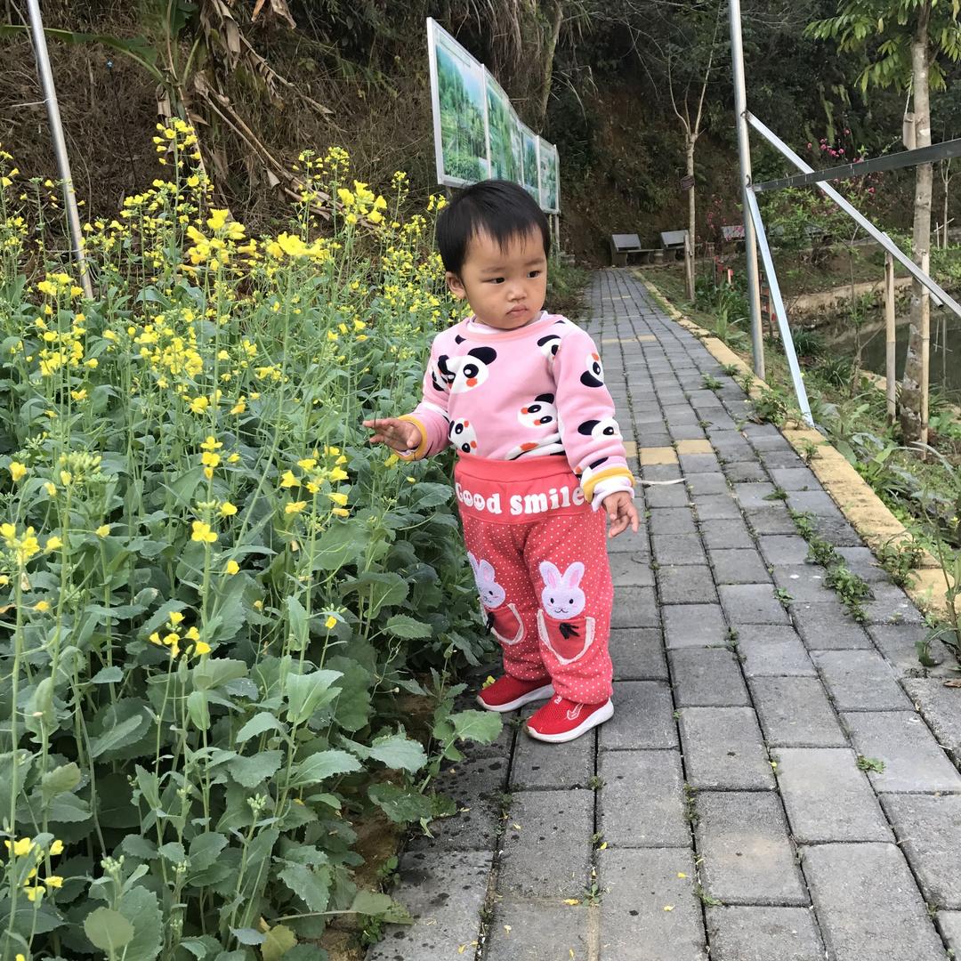 回忆