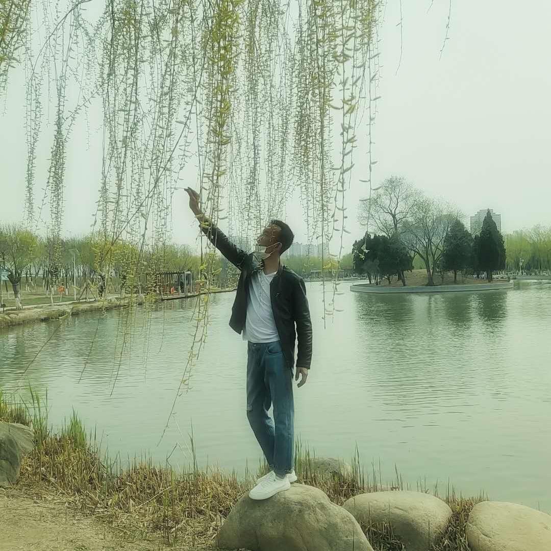 @河南总部庞：先森