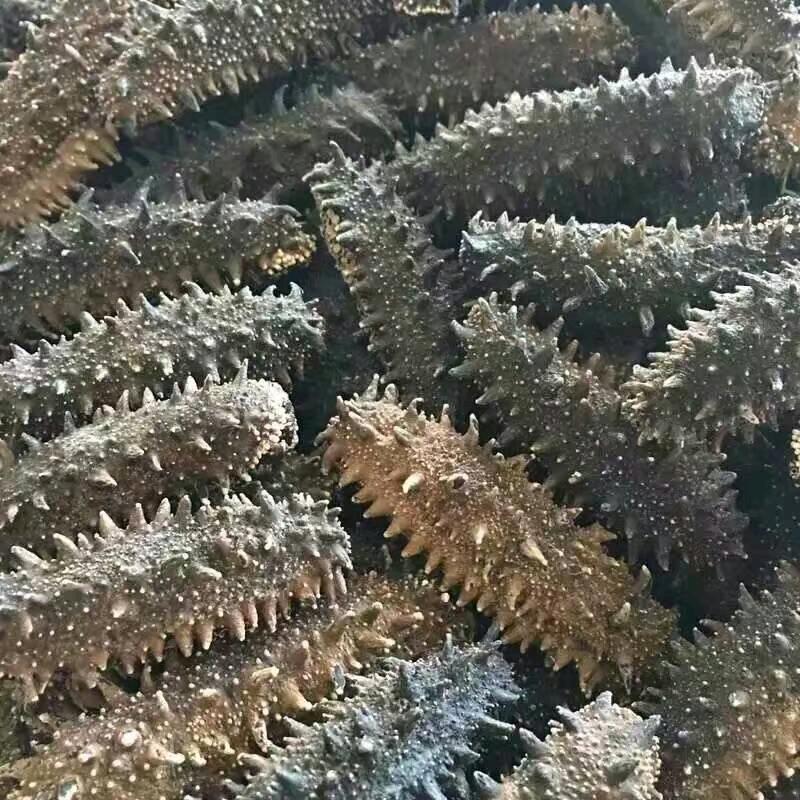 矫俊峰