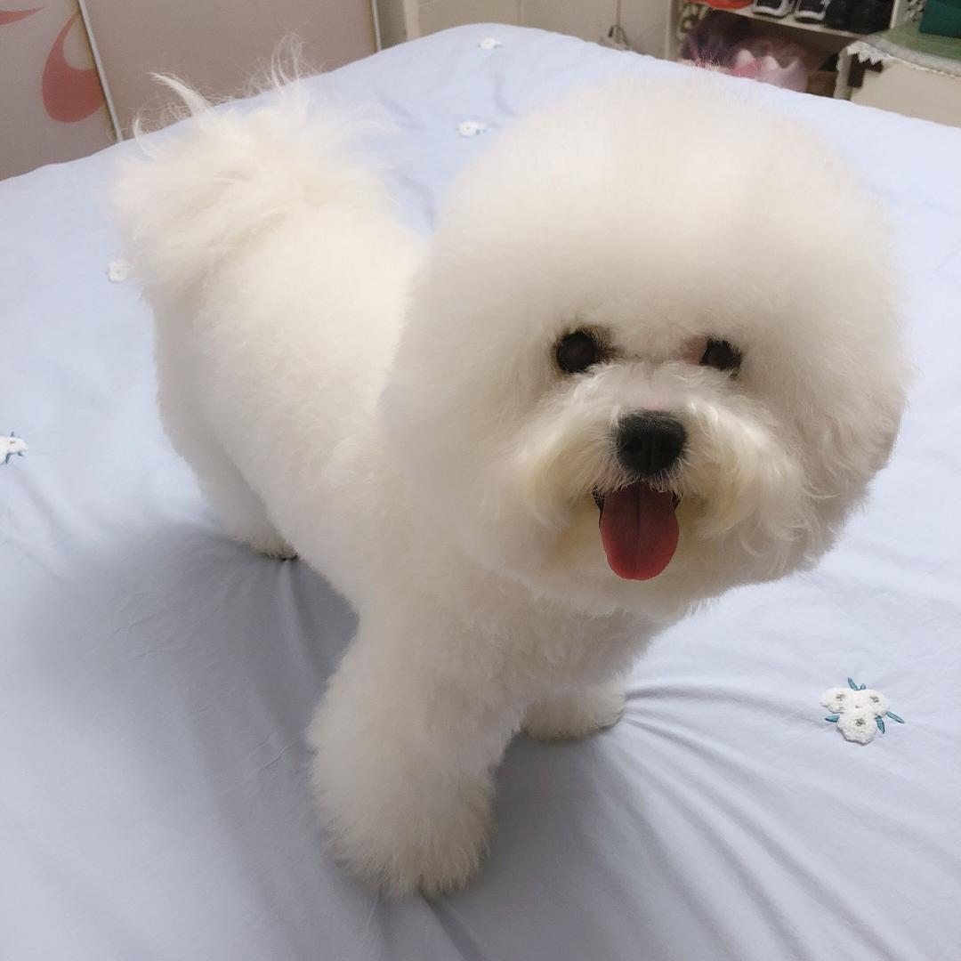 美妞儿""朱小宝