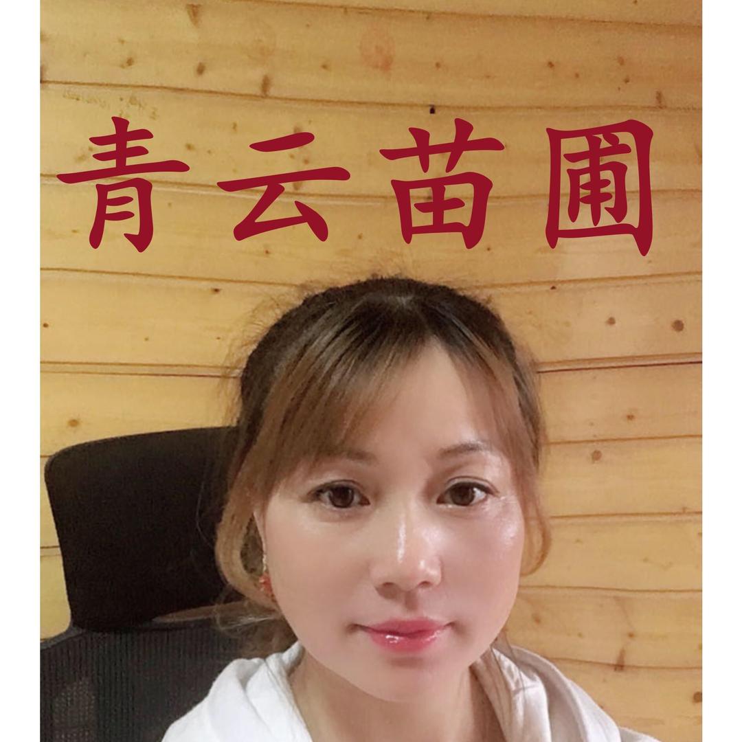 浏阳市柏加镇青云苗圃