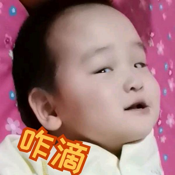 加才521