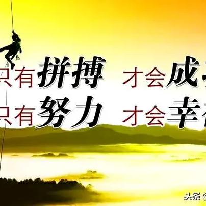 高效青
