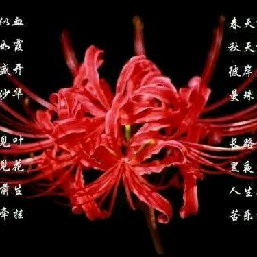 彼岸