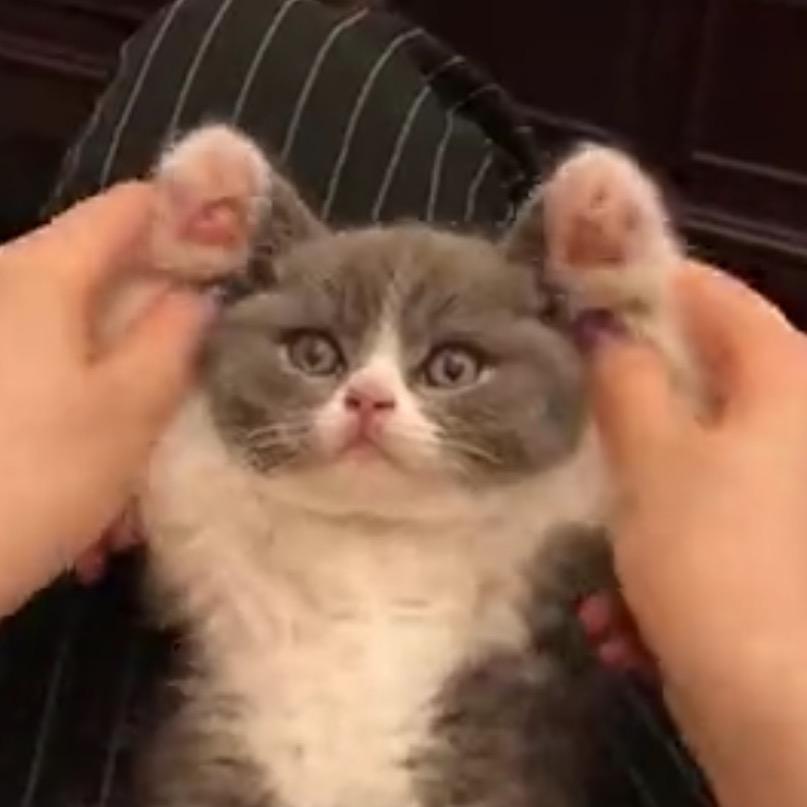 我吃完必须躺会儿