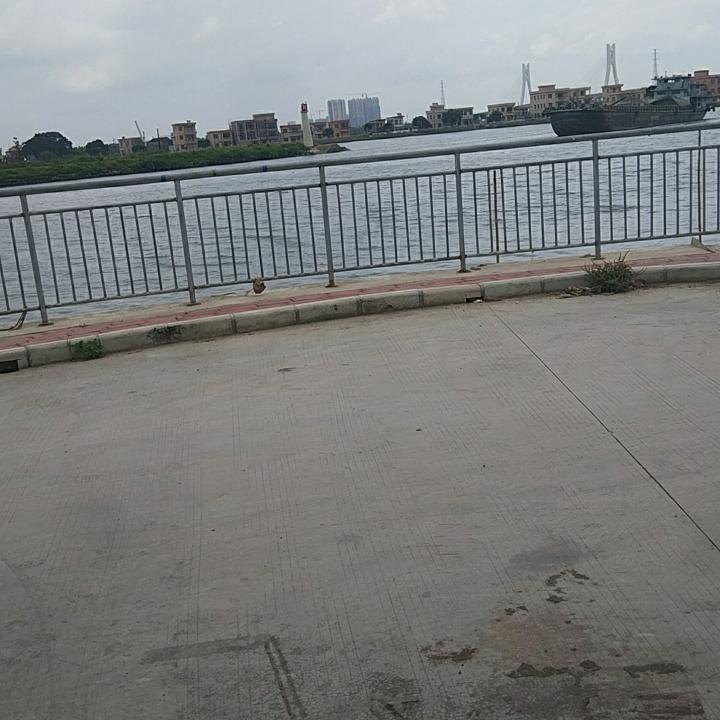 坚持不懈