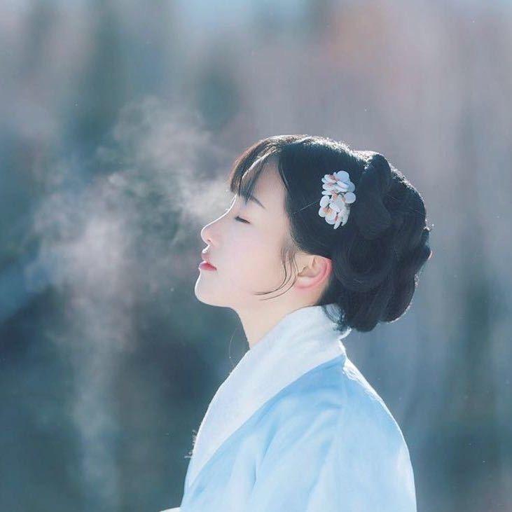 芸豆豆鹅