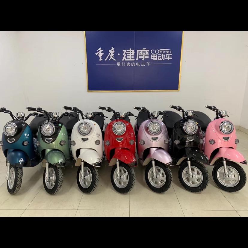 大杨朱哥