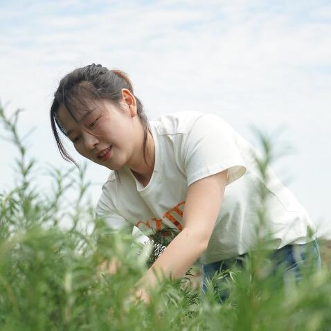 陈慧同学