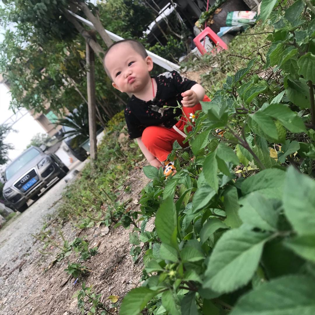 小峰（香酥板栗饼）