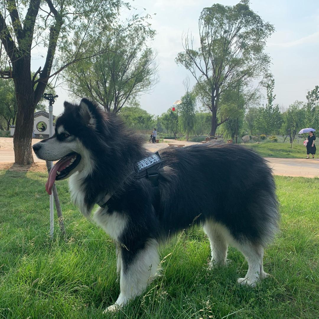 王小熊