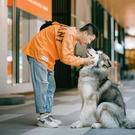 成都训犬师小李