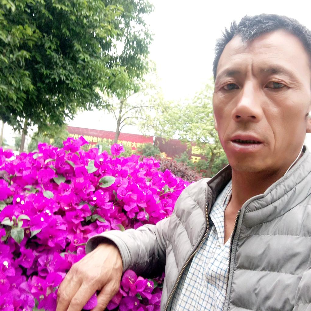 马良