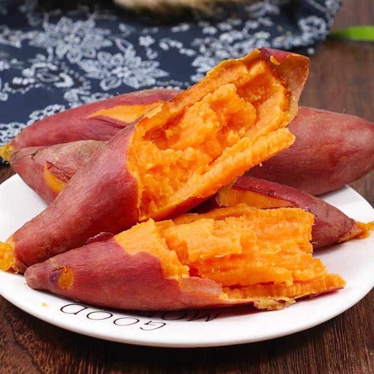 沽河（无公害蔬菜）