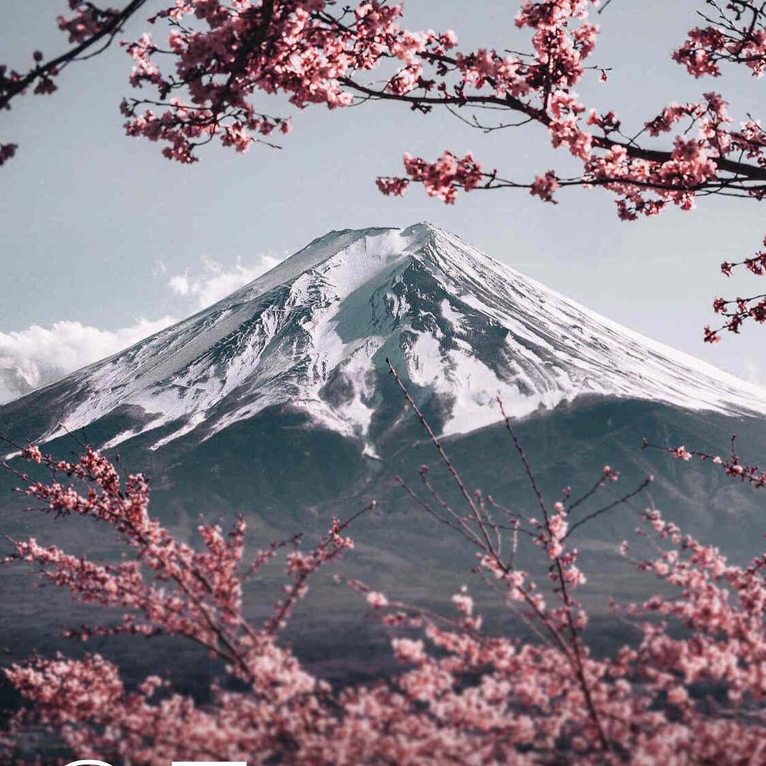小木木