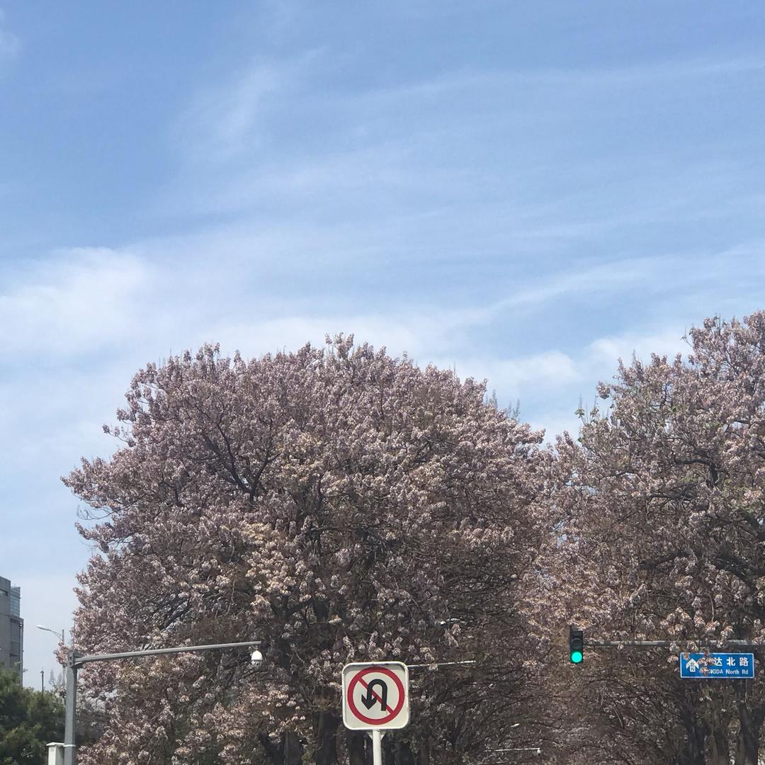 瘦三斤