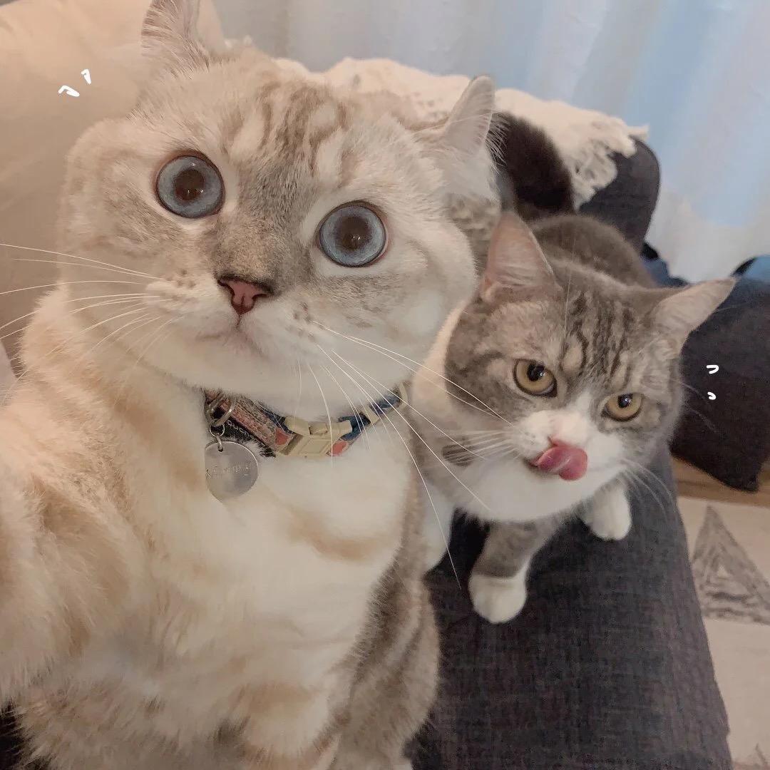 恋爱记录（养娃版）