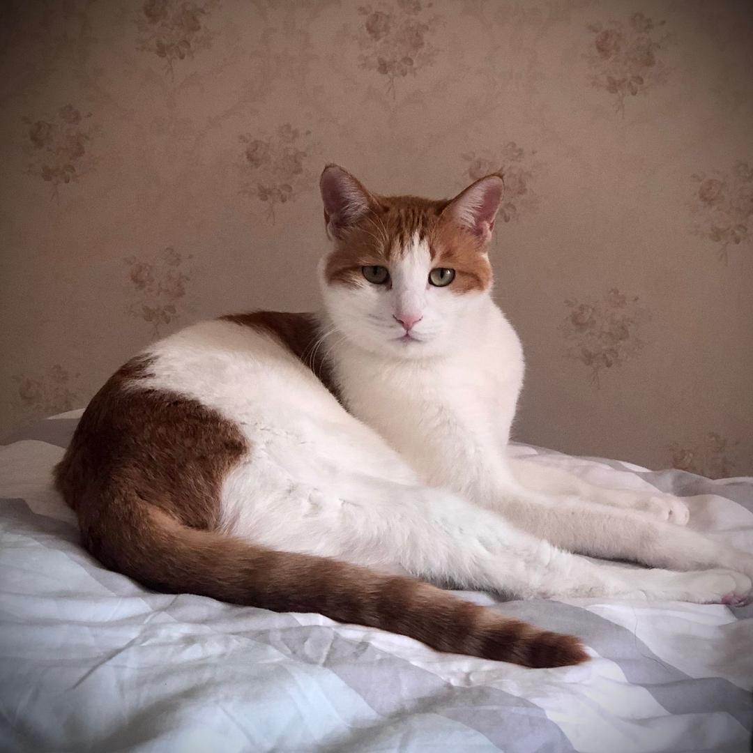 陈晨⁶⁶⁶₆₆₆666