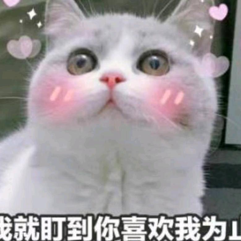王家幺妹