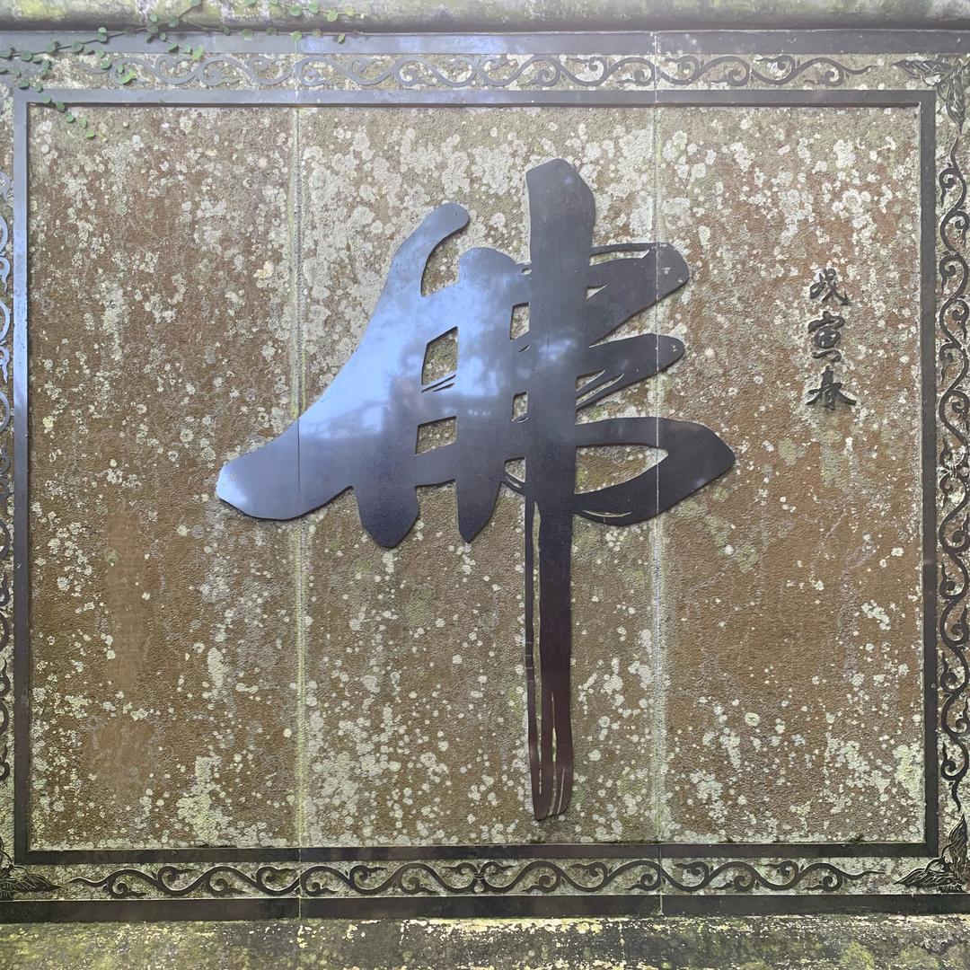 觅.见
